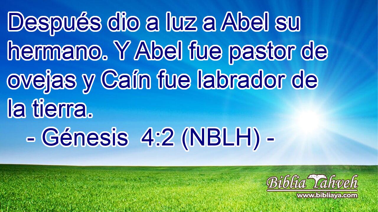  Después dio a luz a Abel su hermano. Y Abel fue pastor de ovejas y Caín fue labrador de la tierra. 
