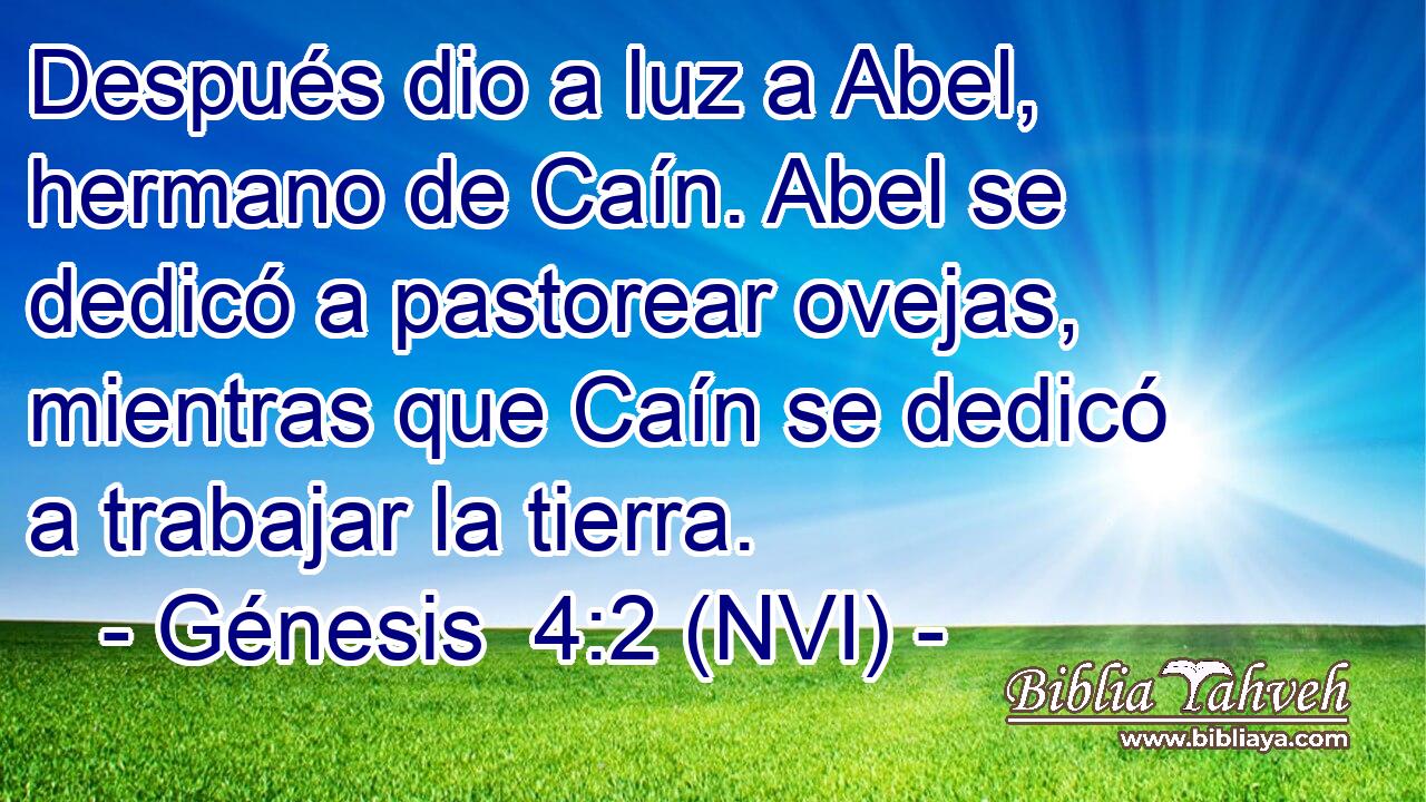 Después dio a luz a Abel, hermano de Caín. Abel se dedicó a pastorear ovejas, mientras que Caín se dedicó a trabajar la tierra. 