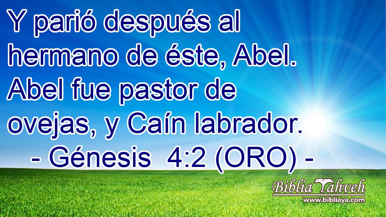  Y parió después al hermano de éste, Abel. Abel fue pastor de ovejas, y Caín labrador. 