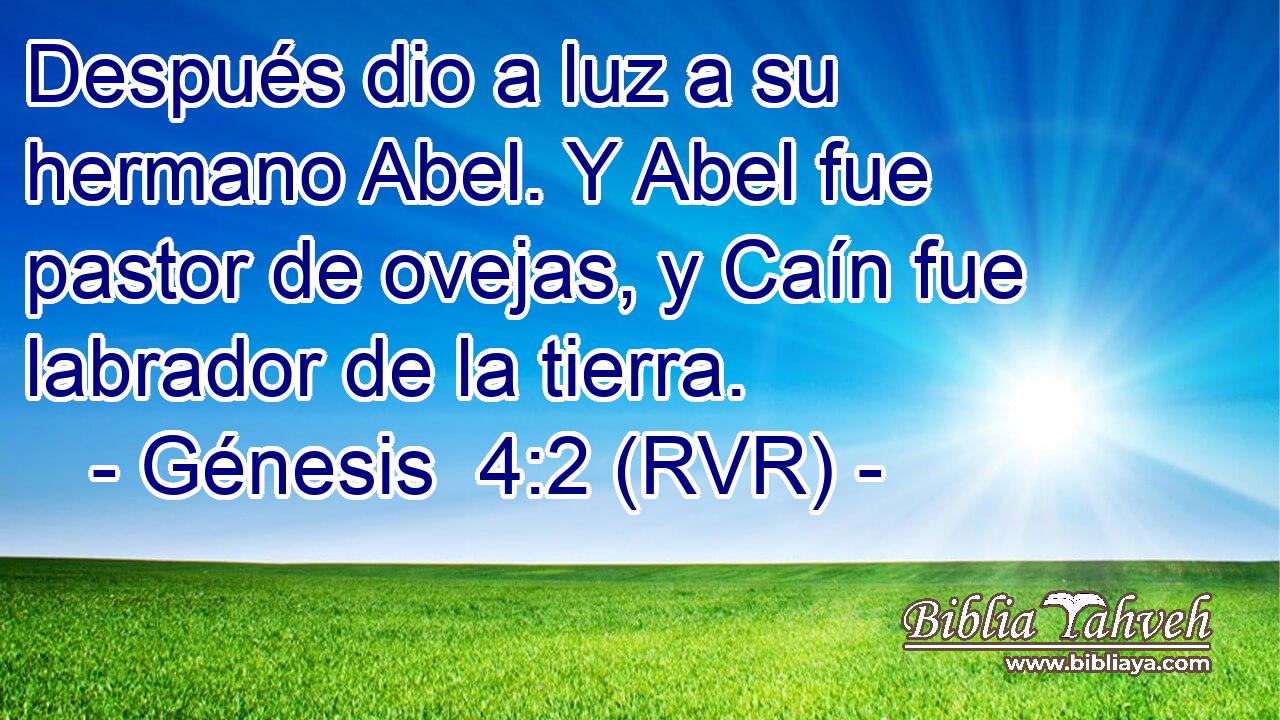 Después dio a luz a su hermano Abel. Y Abel fue pastor de ovejas, y Caín fue labrador de la tierra.