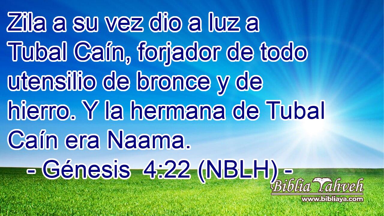  Zila a su vez dio a luz a Tubal Caín, forjador de todo utensilio de bronce y de hierro. Y la hermana de Tubal Caín era Naama. 
