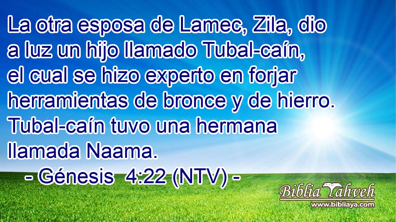 La otra esposa de Lamec, Zila, dio a luz un hijo llamado Tubal-caín, el cual se hizo experto en forjar herramientas de bronce y de hierro. Tubal-caín tuvo una hermana llamada Naama.