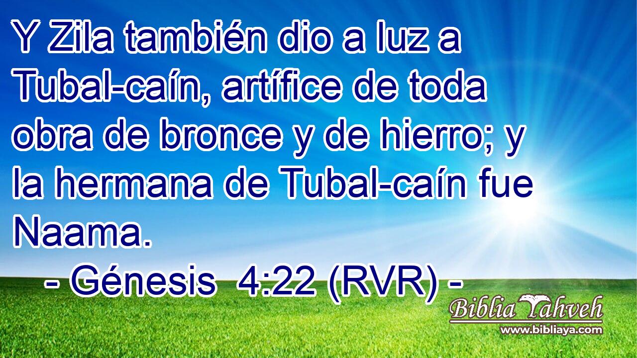 Y Zila también dio a luz a Tubal-caín, artífice de toda obra de bronce y de hierro; y la hermana de Tubal-caín fue Naama.