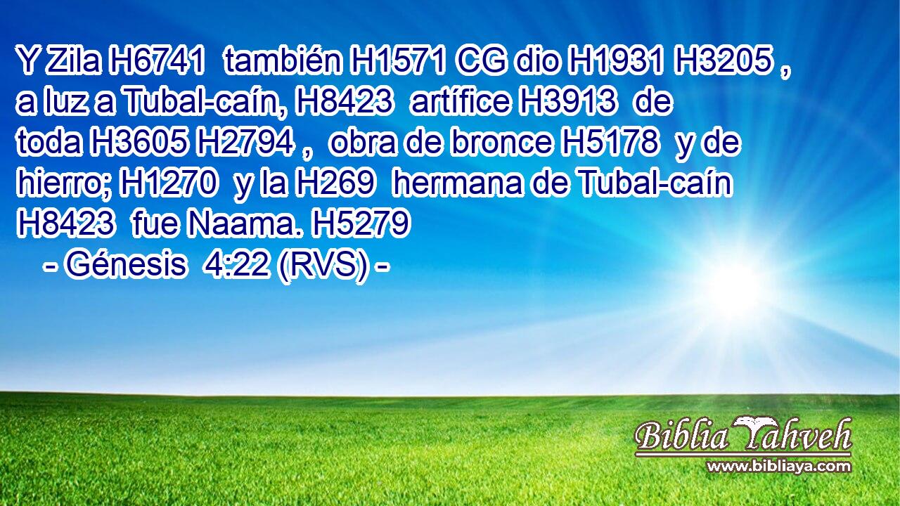 Y Zila H6741  también H1571 CG dio H1931 H3205 ,  a luz a Tubal-caín, H8423  artífice H3913  de toda H3605 H2794 ,  obra de bronce H5178  y de hierro; H1270  y la H269  hermana de Tubal-caín H8423  fue Naama. H5279  
