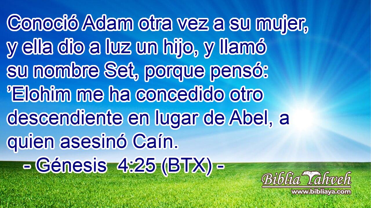 Conoció Adam otra vez a su mujer, y ella dio a luz un hijo, y llamó su nombre Set, porque pensó: ’Elohim me ha concedido otro descendiente en lugar de Abel, a quien asesinó Caín.