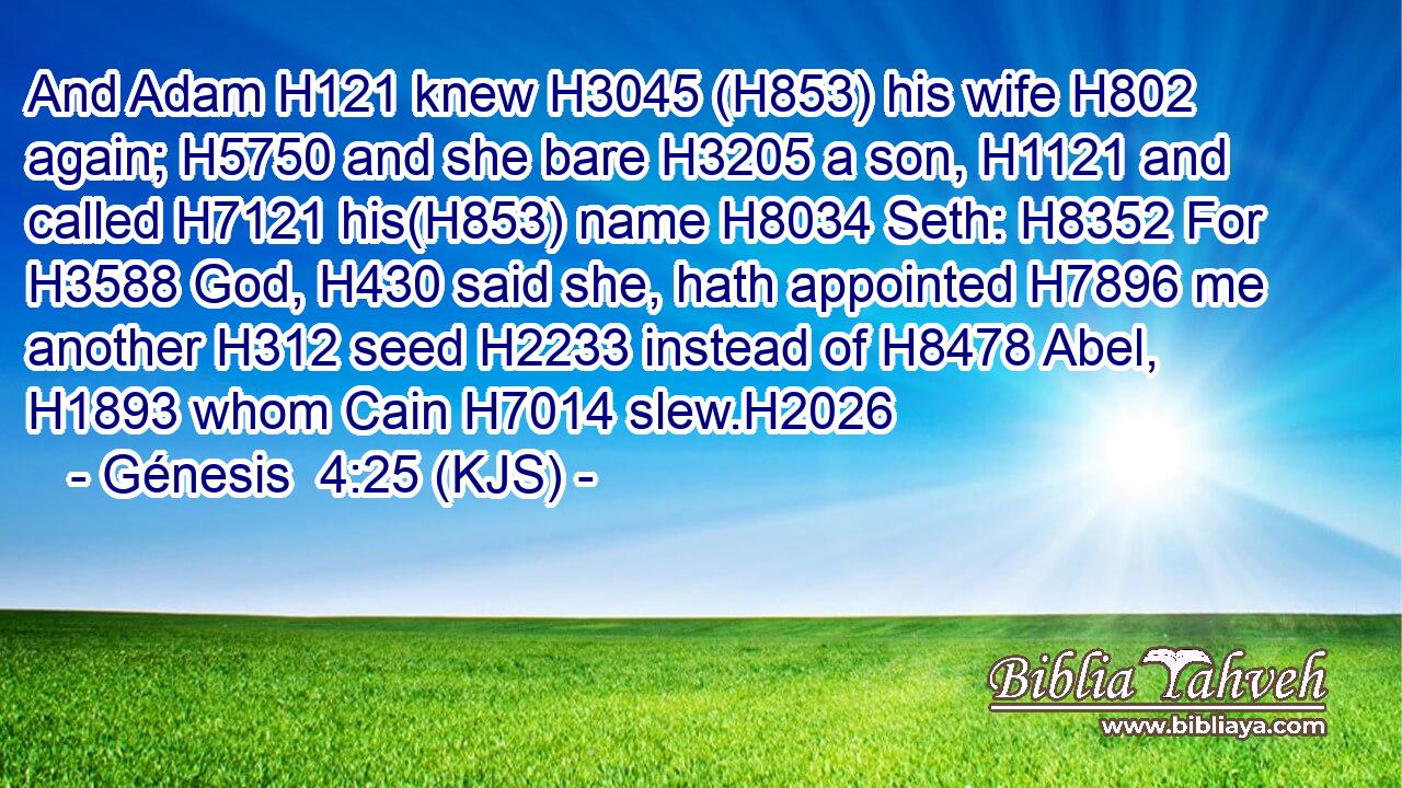 And Adam H121 knew H3045 (H853) his wife H802 again; H5750 and she bare H3205 a son, H1121 and called H7121 his(H853) name H8034 Seth: H8352 For H3588 God, H430 said she, hath appointed H7896 me another H312 seed H2233 instead of H8478 Abel, H1893 whom Cain H7014 slew.H2026
