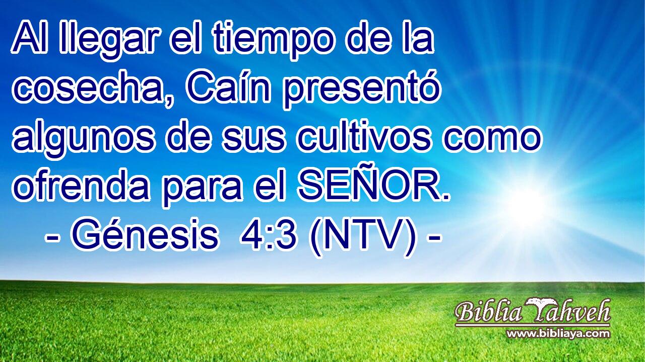 Al llegar el tiempo de la cosecha, Caín presentó algunos de sus cultivos como ofrenda para el SEÑOR.