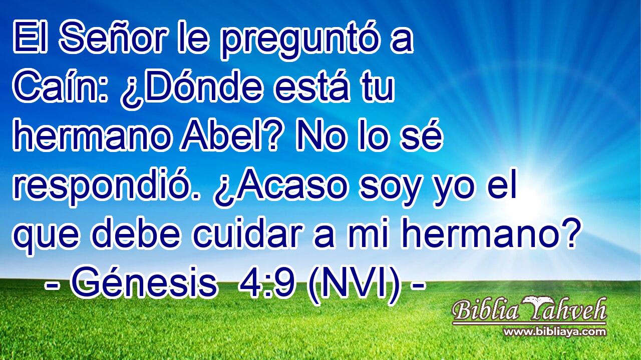  El Señor le preguntó a Caín: ¿Dónde está tu hermano Abel? No lo sé respondió. ¿Acaso soy yo el que debe cuidar a mi hermano? 
