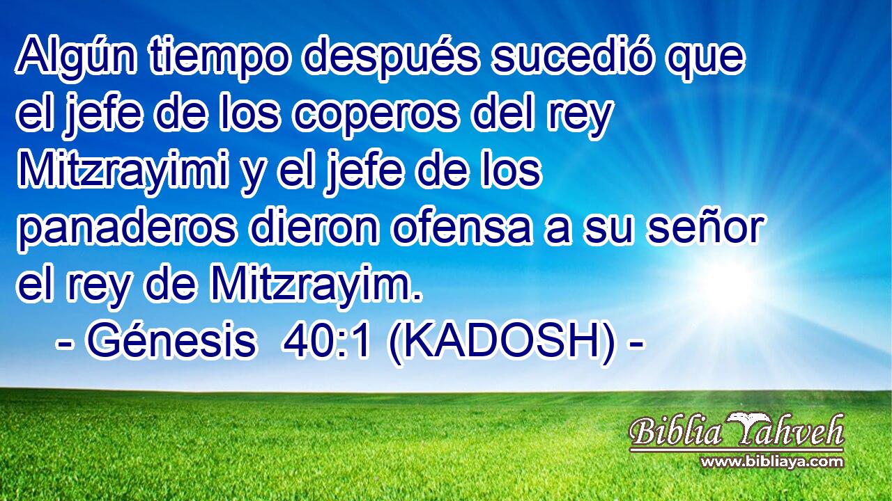  Algún tiempo después sucedió que el jefe de los coperos del rey Mitzrayimi y el jefe de los panaderos dieron ofensa a su señor el rey de Mitzrayim. 