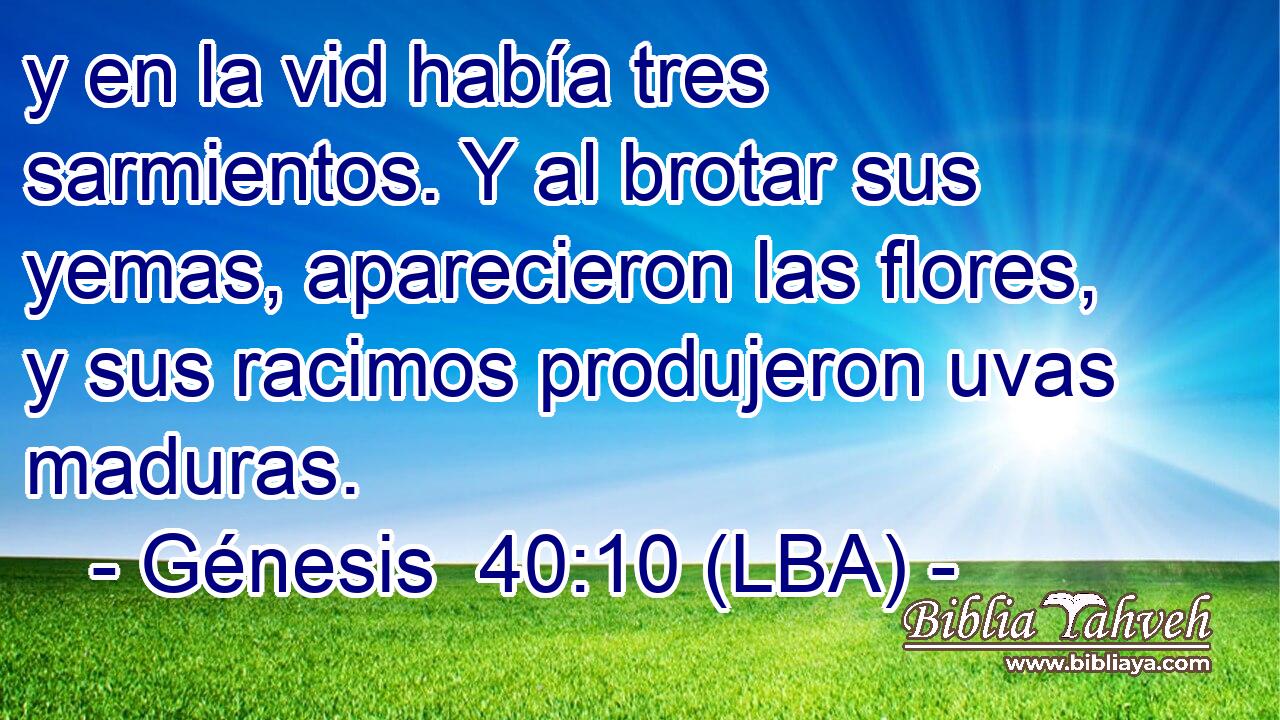 y en la vid había tres sarmientos. Y al brotar sus yemas, aparecieron las flores, y sus racimos produjeron uvas maduras.