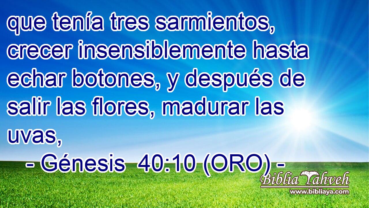  que tenía tres sarmientos, crecer insensiblemente hasta echar botones, y después de salir las flores, madurar las uvas, 