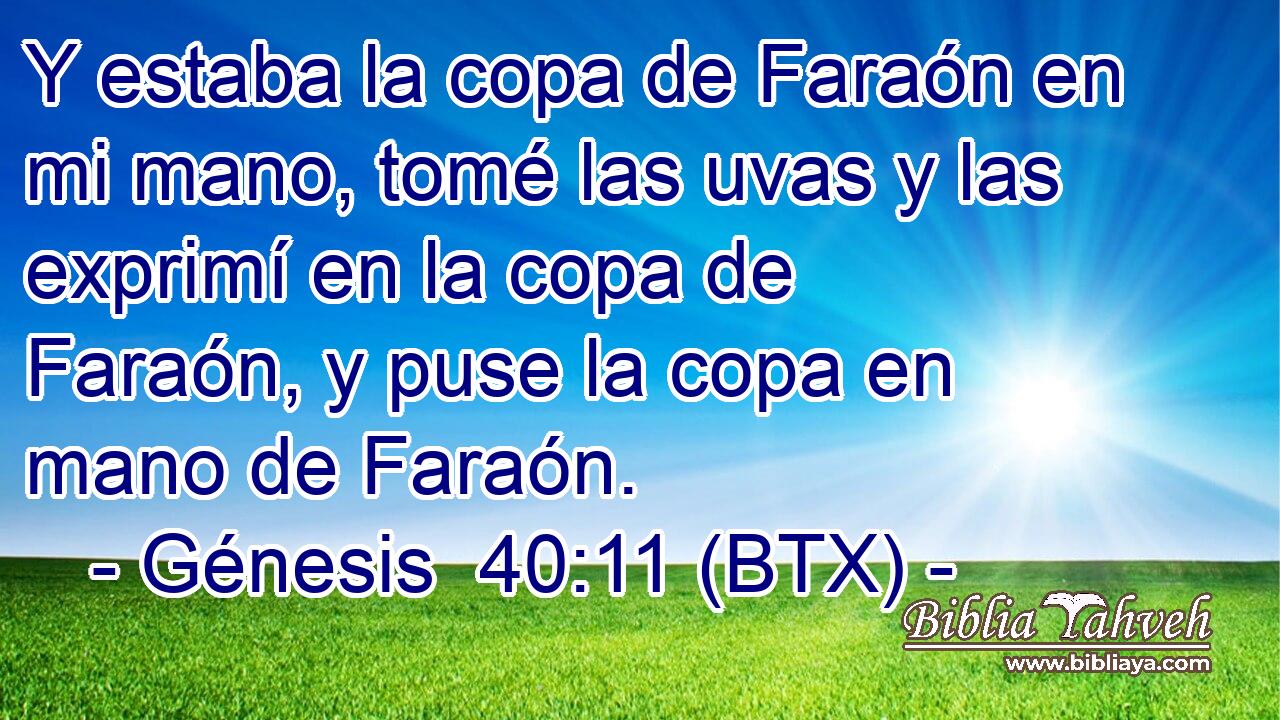 Y estaba la copa de Faraón en mi mano, tomé las uvas y las exprimí en la copa de Faraón, y puse la copa en mano de Faraón.