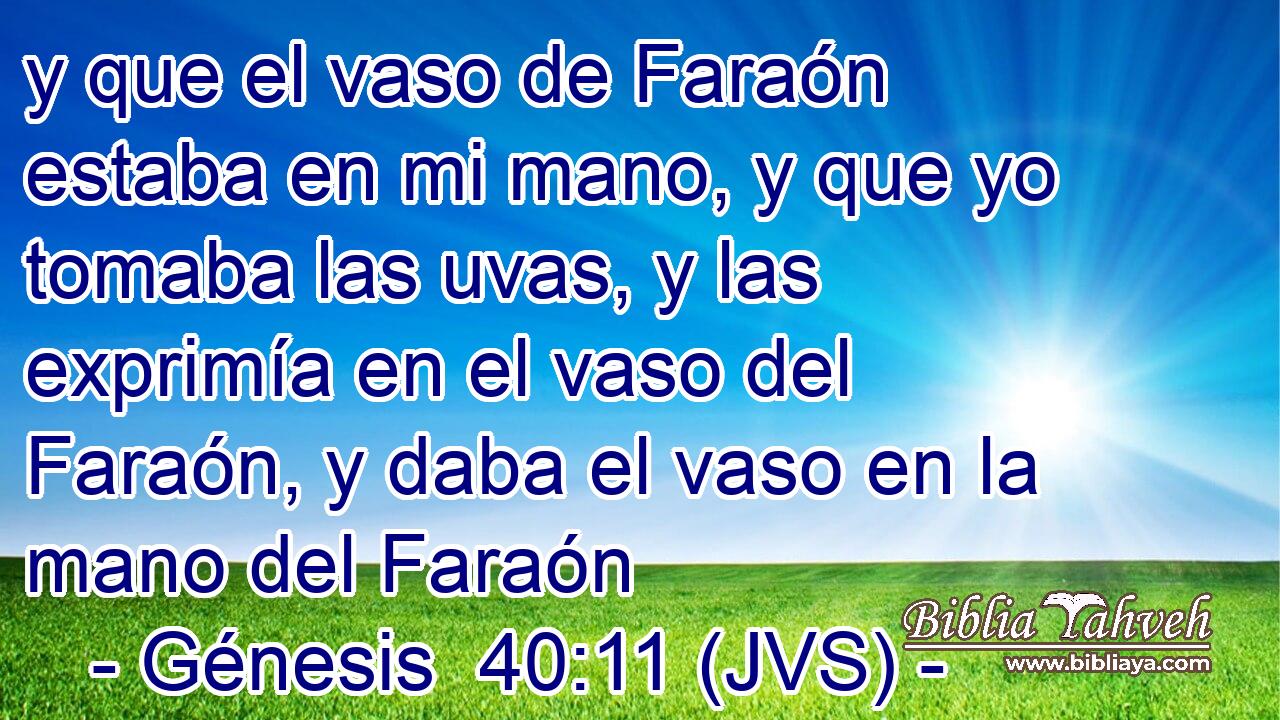 y que el vaso de Faraón estaba en mi mano, y que yo tomaba las uvas, y las exprimía en el vaso del Faraón, y daba el vaso en la mano del Faraón