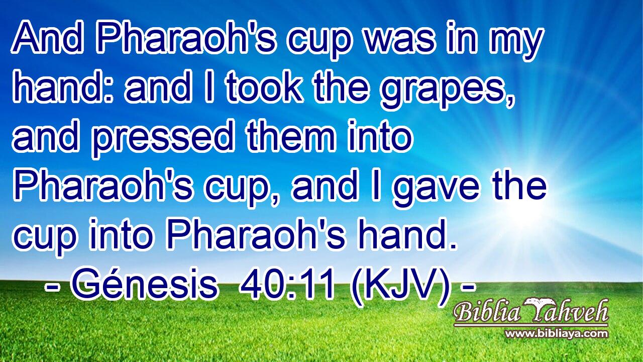 And Pharaoh's cup was in my hand: and I took the grapes, and pressed them into Pharaoh's cup, and I gave the cup into Pharaoh's hand.