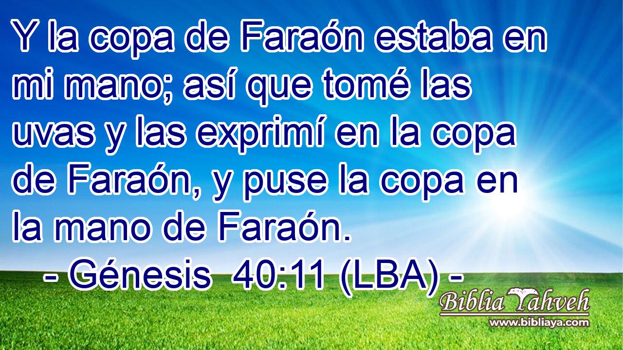 Y la copa de Faraón estaba en mi mano; así que tomé las uvas y las exprimí en la copa de Faraón, y puse la copa en la mano de Faraón.