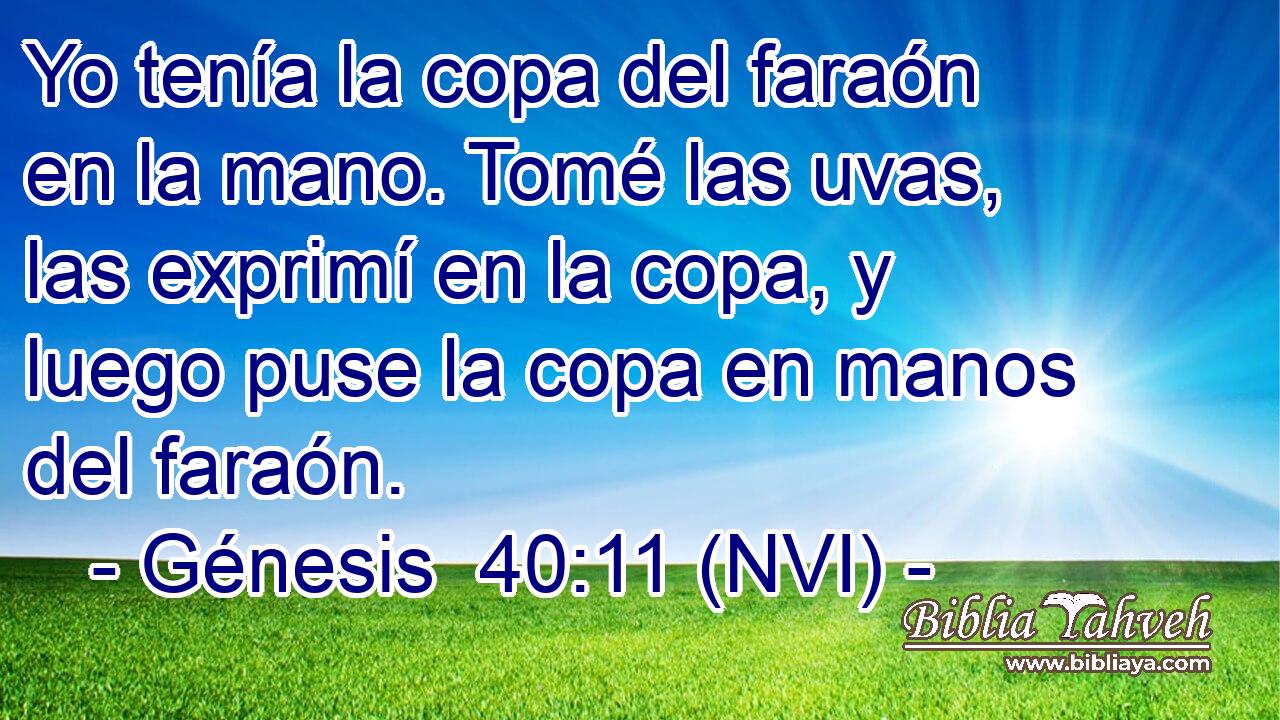  Yo tenía la copa del faraón en la mano. Tomé las uvas, las exprimí en la copa, y luego puse la copa en manos del faraón. 