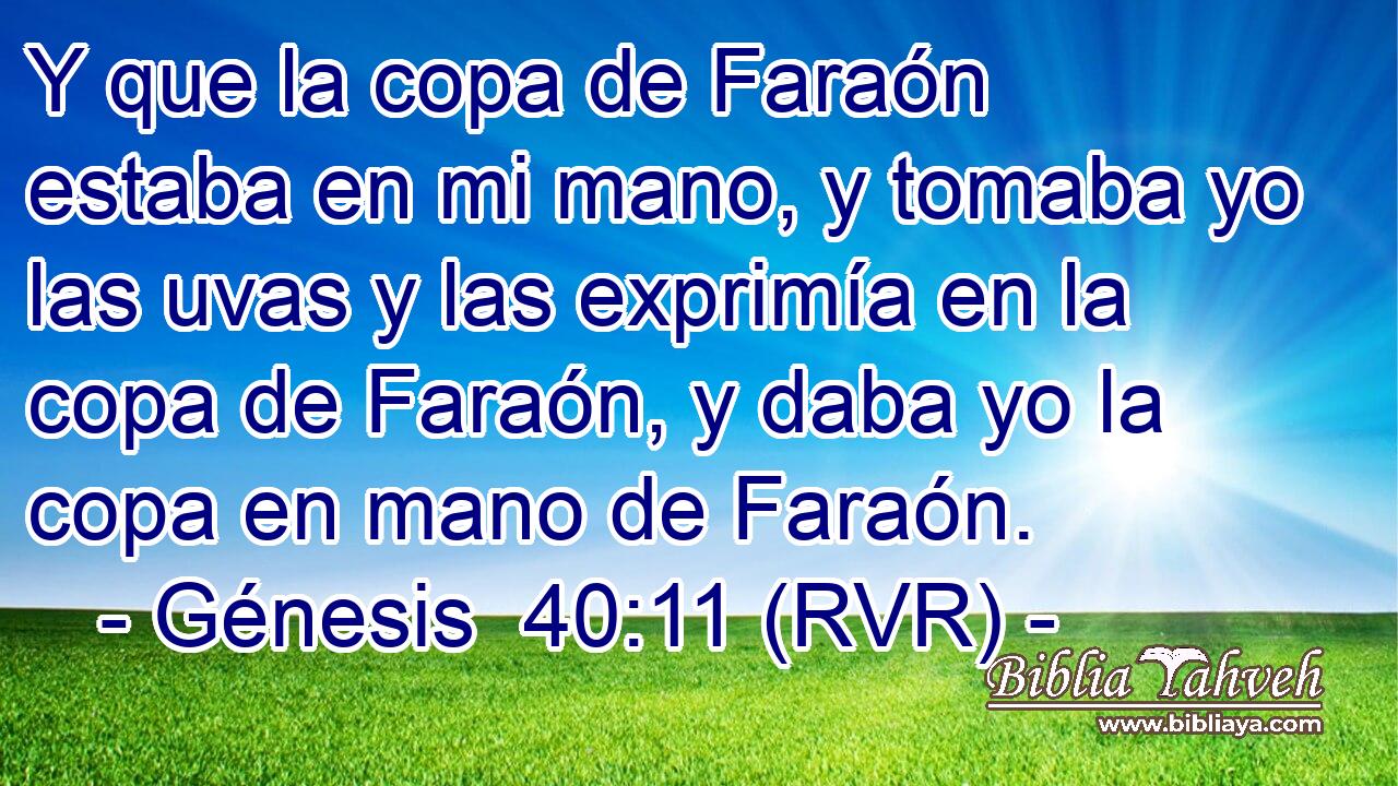 Y que la copa de Faraón estaba en mi mano, y tomaba yo las uvas y las exprimía en la copa de Faraón, y daba yo la copa en mano de Faraón.