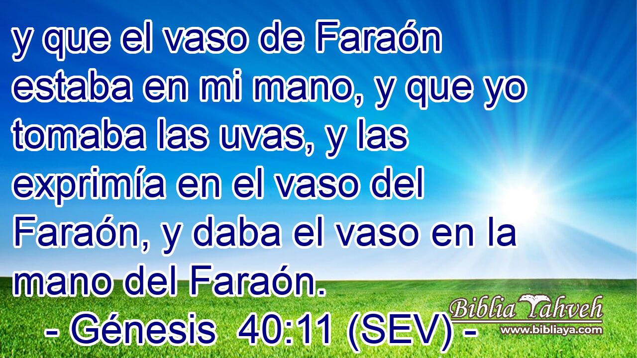 y que el vaso de Faraón estaba en mi mano, y que yo tomaba las uvas, y las exprimía en el vaso del Faraón, y daba el vaso en la mano del Faraón.