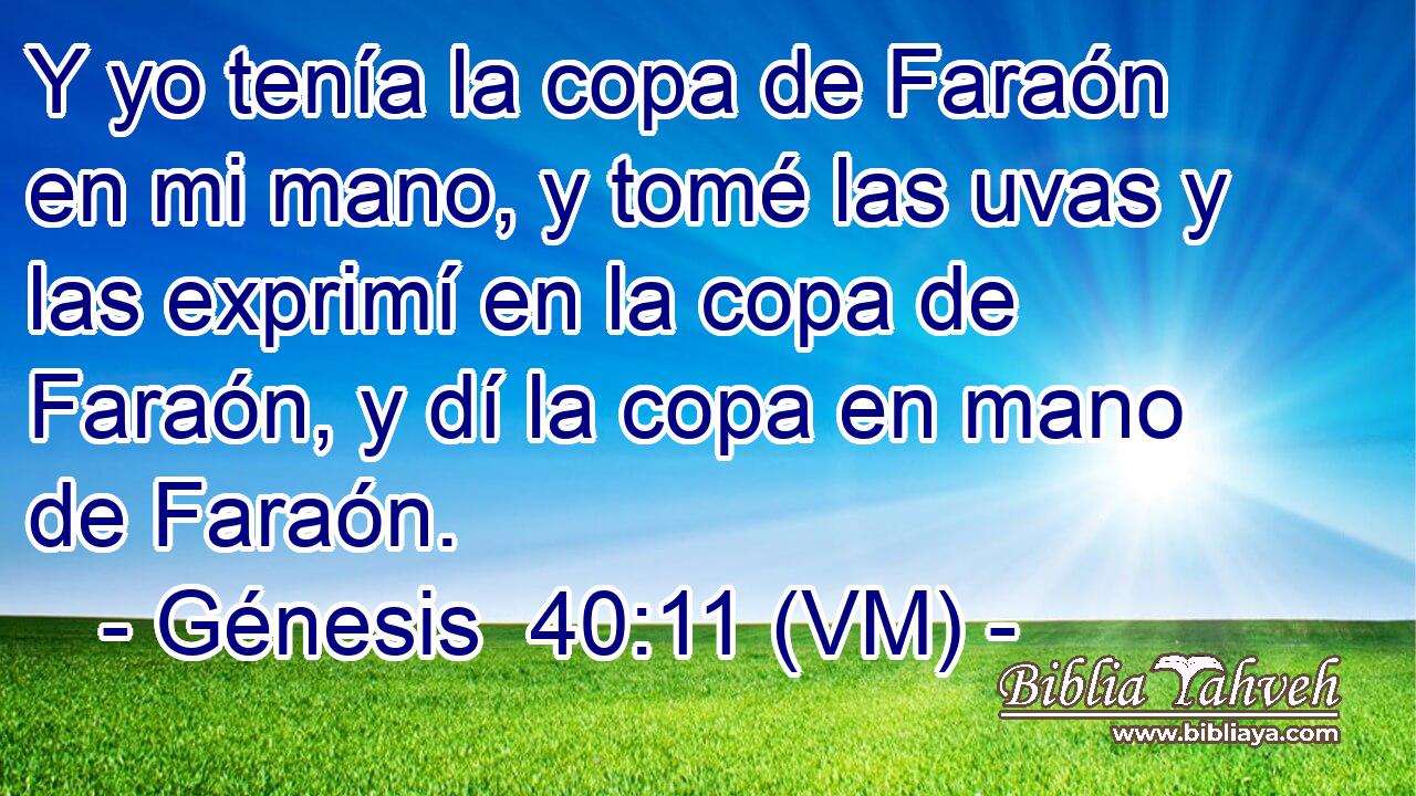  Y yo tenía la copa de Faraón en mi mano, y tomé las uvas y las exprimí en la copa de Faraón, y dí la copa en mano de Faraón. 