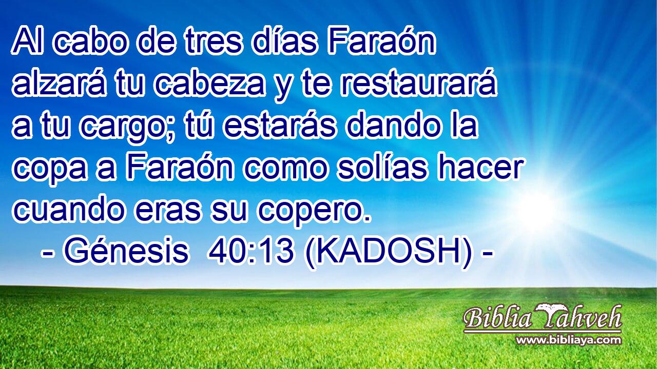  Al cabo de tres días Faraón alzará tu cabeza y te restaurará a tu cargo; tú estarás dando la copa a Faraón como solías hacer cuando eras su copero. 