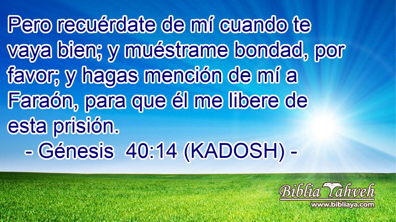  Pero recuérdate de mí cuando te vaya bien; y muéstrame bondad, por favor; y hagas mención de mí a Faraón, para que él me libere de esta prisión. 
