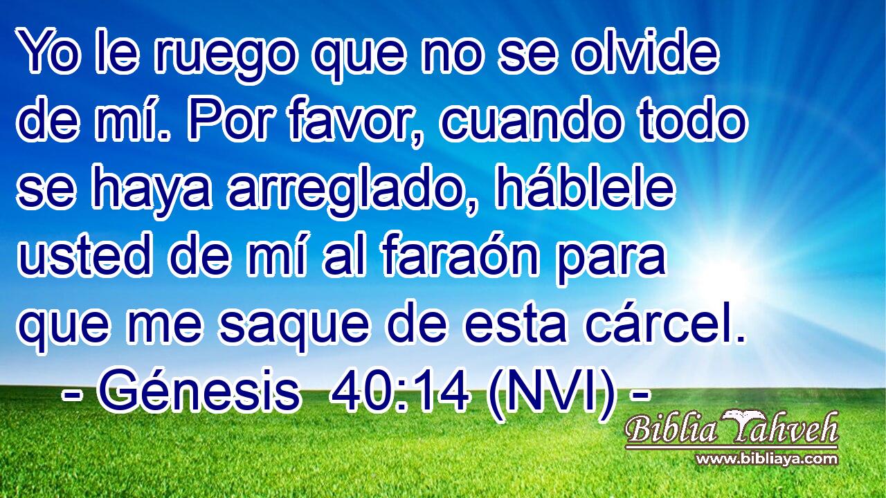 Yo le ruego que no se olvide de mí. Por favor, cuando todo se haya arreglado, háblele usted de mí al faraón para que me saque de esta cárcel. 