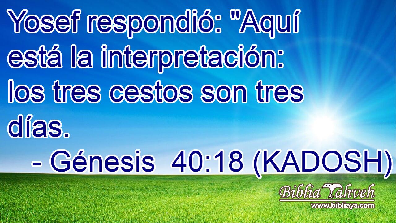  Yosef respondió: 