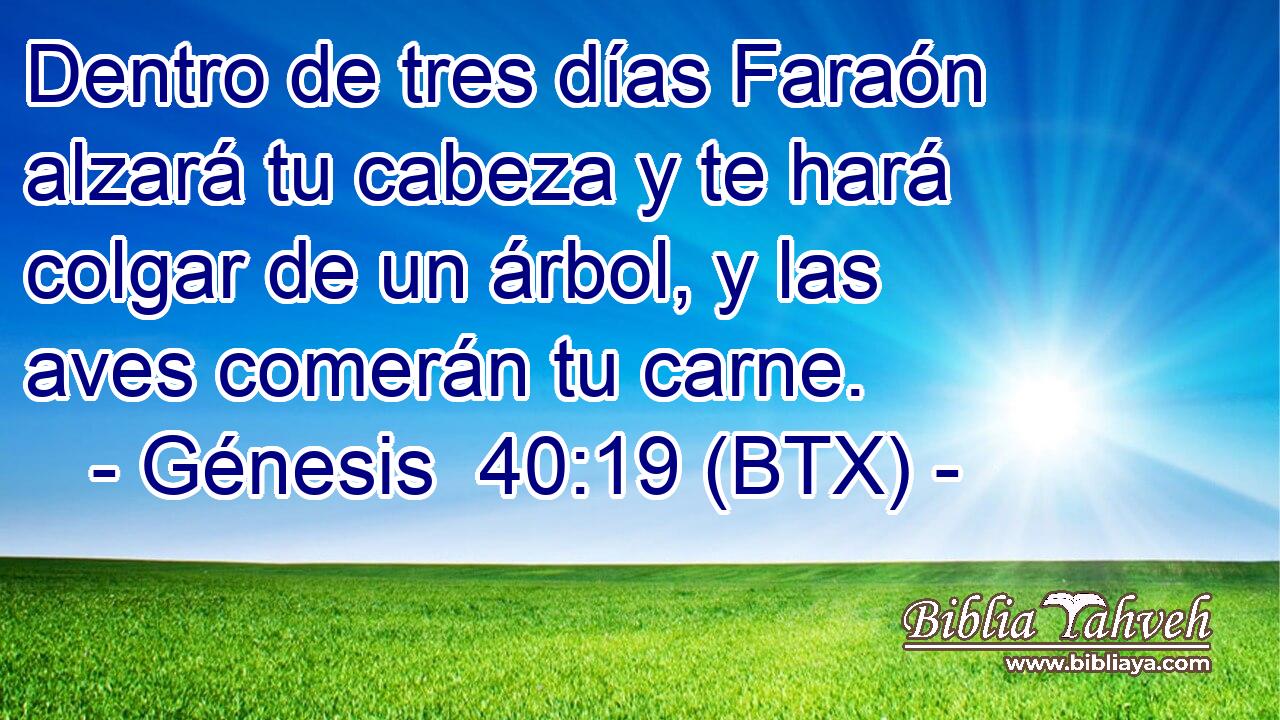 Dentro de tres días Faraón alzará tu cabeza y te hará colgar de un árbol, y las aves comerán tu carne.