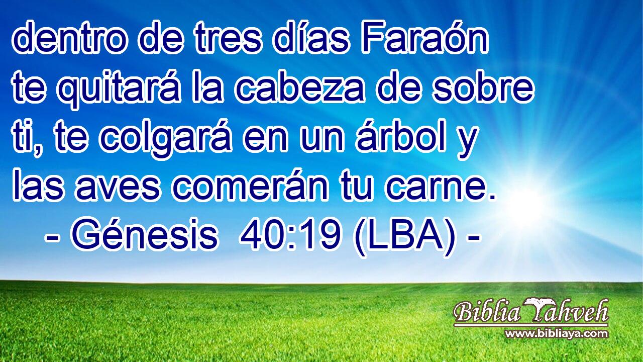 dentro de tres días Faraón te quitará la cabeza de sobre ti, te colgará en un árbol y las aves comerán tu carne.