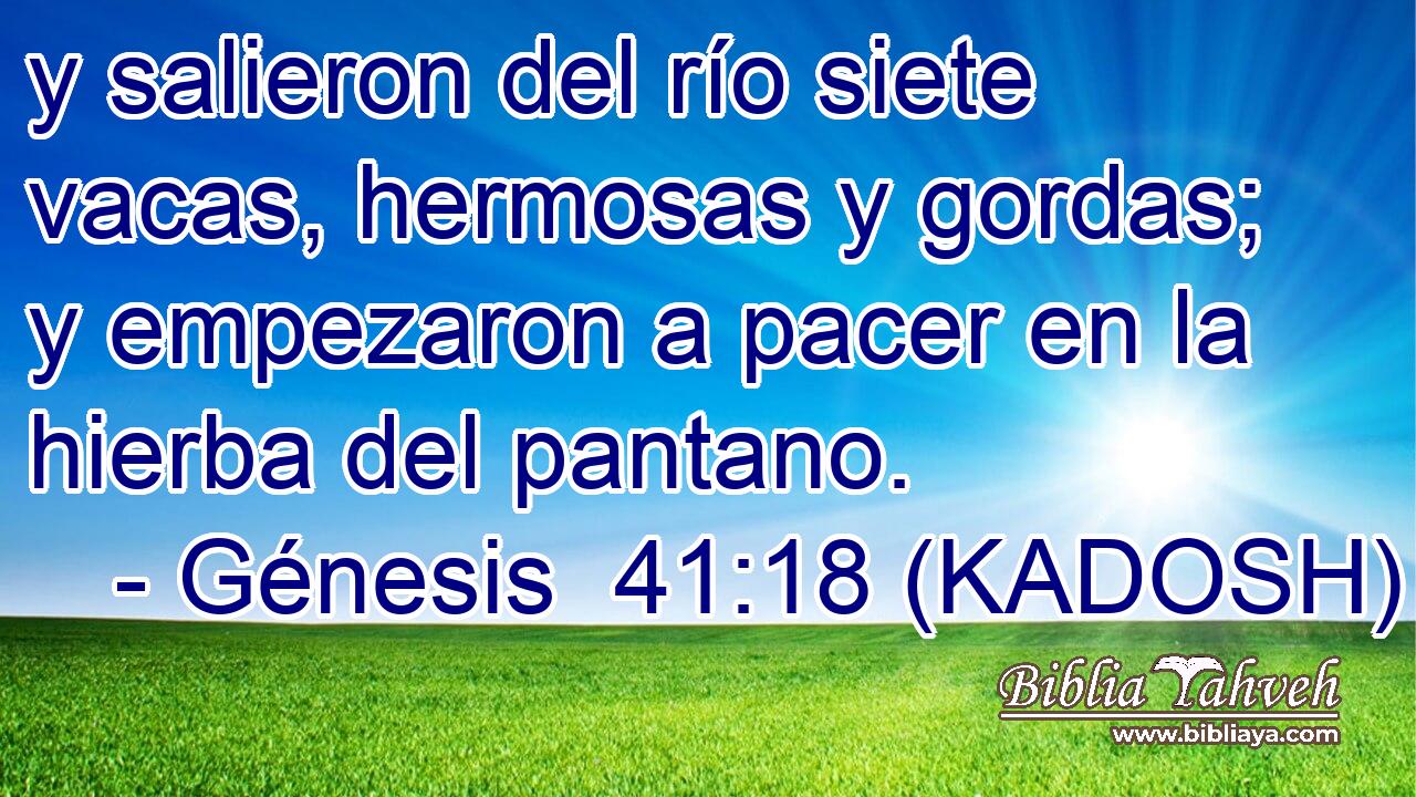  y salieron del río siete vacas, hermosas y gordas; y empezaron a pacer en la hierba del pantano. 