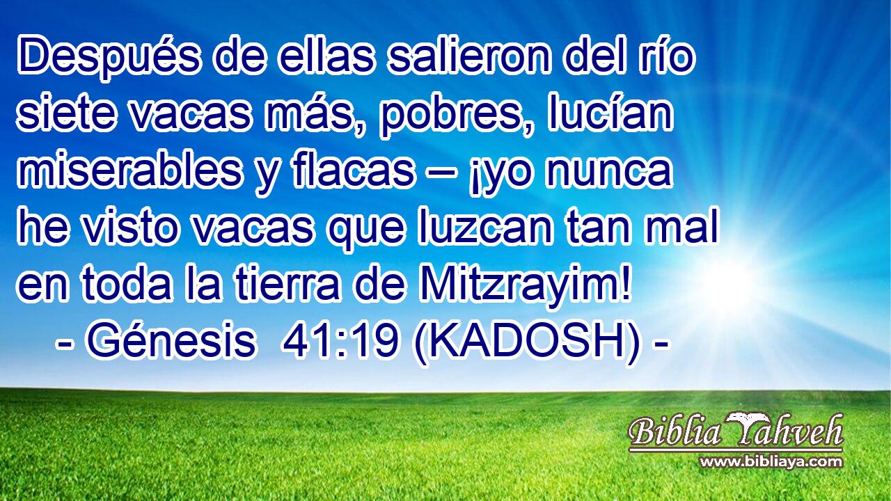  Después de ellas salieron del río siete vacas más, pobres, lucían miserables y flacas – ¡yo nunca he visto vacas que luzcan tan mal en toda la tierra de Mitzrayim! 