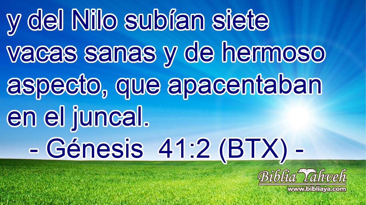 y del Nilo subían siete vacas sanas y de hermoso aspecto, que apacentaban en el juncal.
