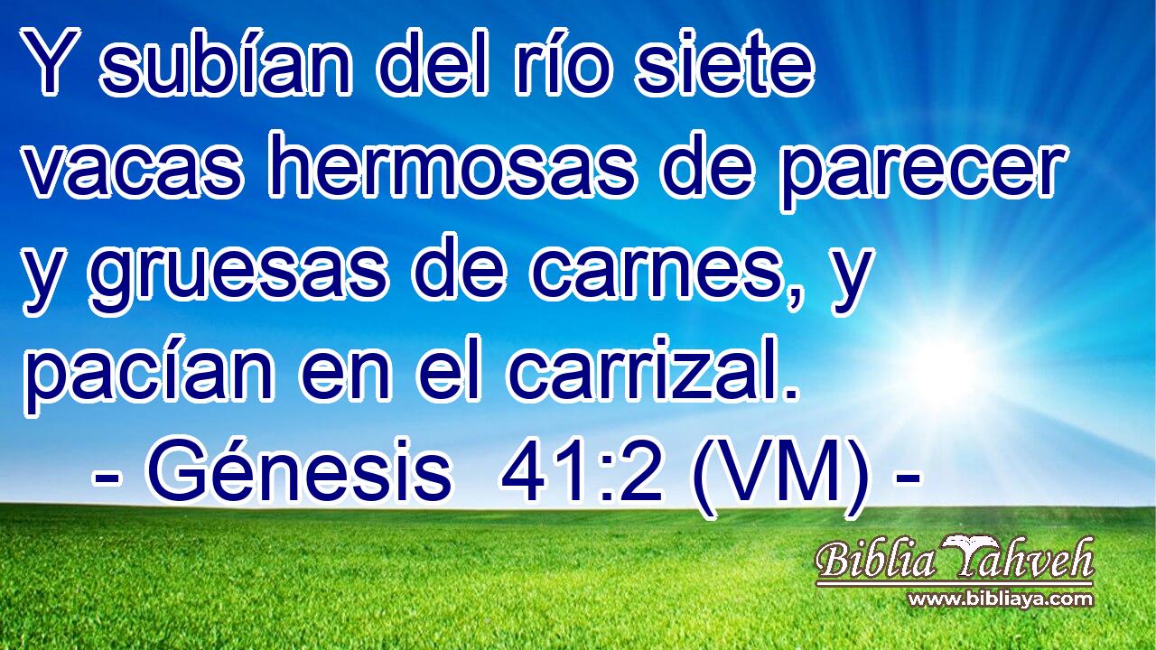  Y subían del río siete vacas hermosas de parecer y gruesas de carnes, y pacían en el carrizal. 