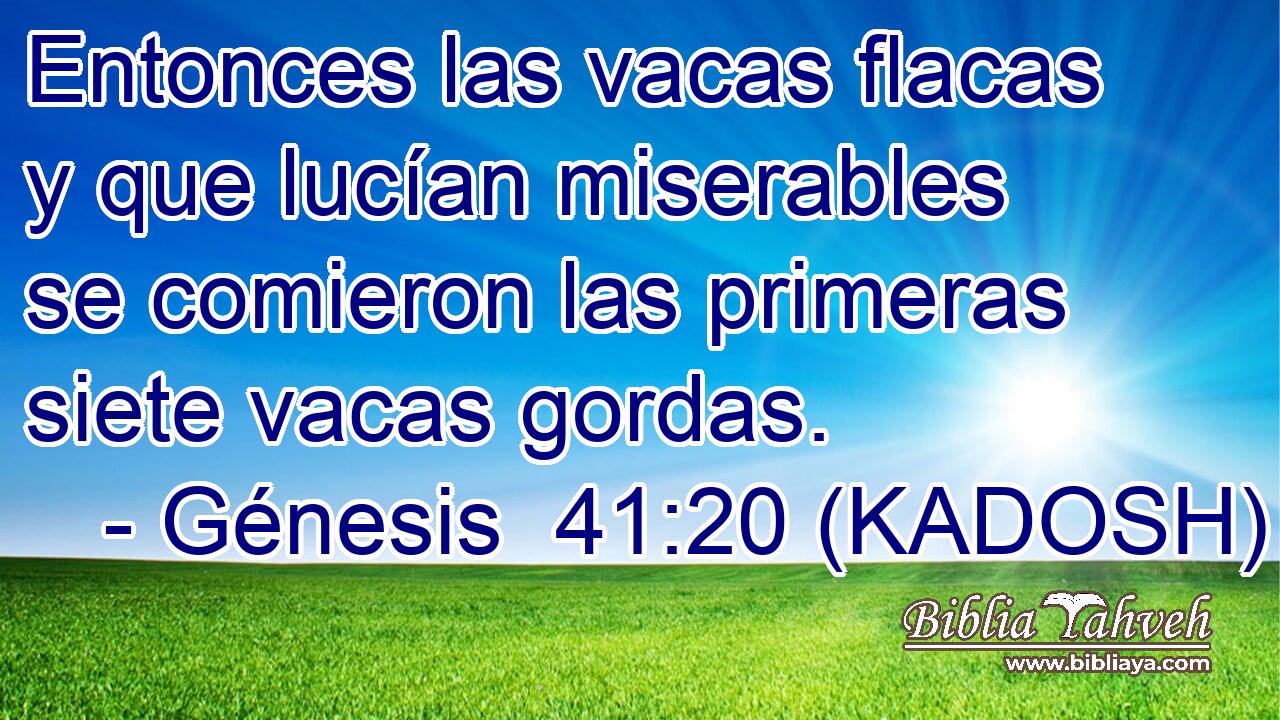  Entonces las vacas flacas y que lucían miserables se comieron las primeras siete vacas gordas. 