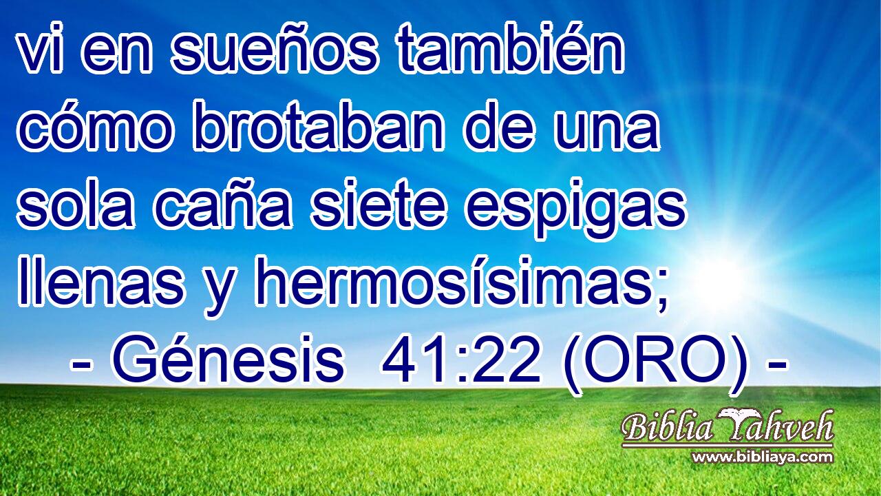  vi en sueños también cómo brotaban de una sola caña siete espigas llenas y hermosísimas; 