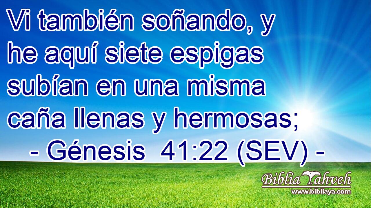 Vi también soñando, y he aquí siete espigas subían en una misma caña llenas y hermosas;