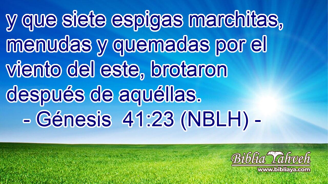  y que siete espigas marchitas, menudas y quemadas por el viento del este, brotaron después de aquéllas. 