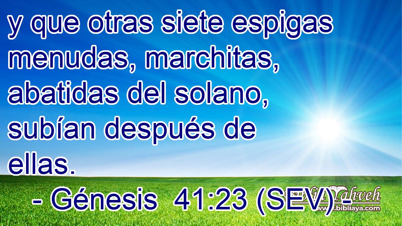 y que otras siete espigas menudas, marchitas, abatidas del solano, subían después de ellas.