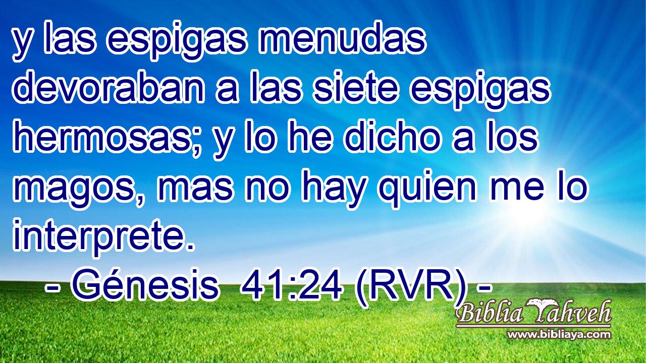 y las espigas menudas devoraban a las siete espigas hermosas; y lo he dicho a los magos, mas no hay quien me lo interprete.