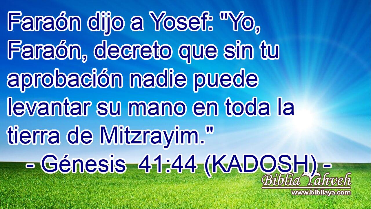  Faraón dijo a Yosef: 
