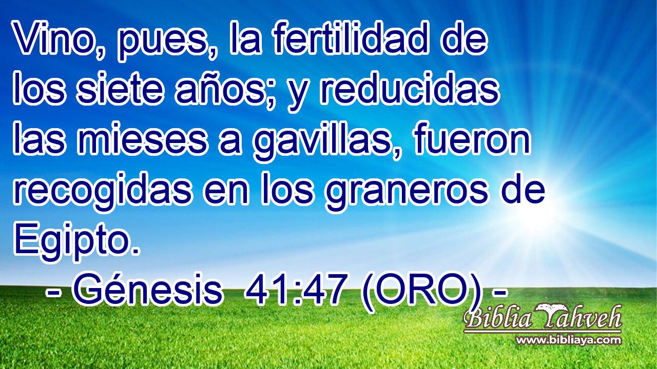  Vino, pues, la fertilidad de los siete años; y reducidas las mieses a gavillas, fueron recogidas en los graneros de Egipto. 