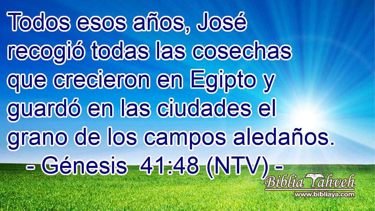 Todos esos años, José recogió todas las cosechas que crecieron en Egipto y guardó en las ciudades el grano de los campos aledaños.