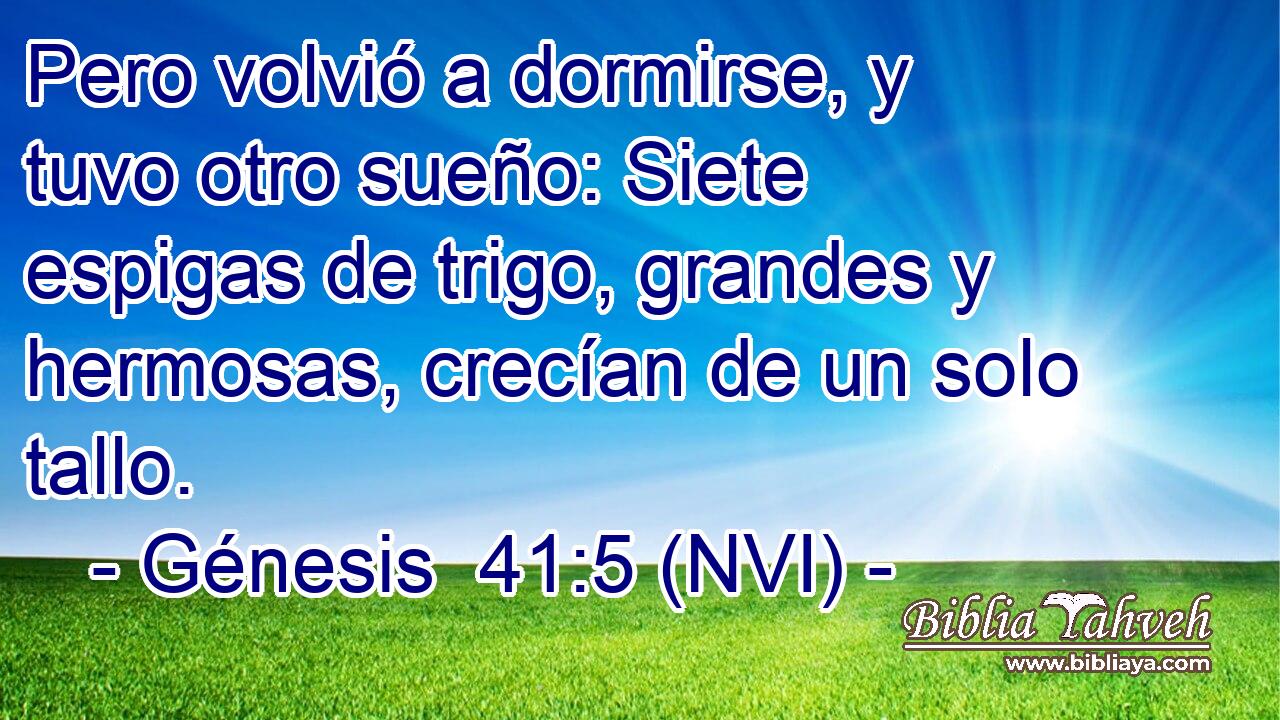  Pero volvió a dormirse, y tuvo otro sueño: Siete espigas de trigo, grandes y hermosas, crecían de un solo tallo. 