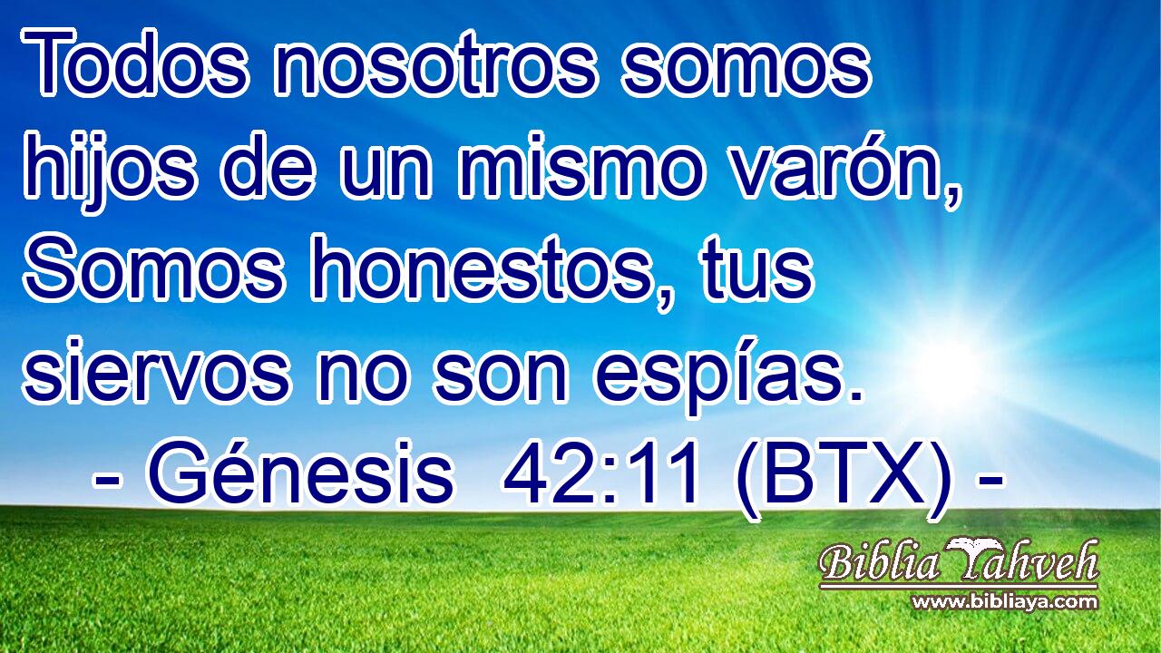 Todos nosotros somos hijos de un mismo varón, Somos honestos, tus siervos no son espías.