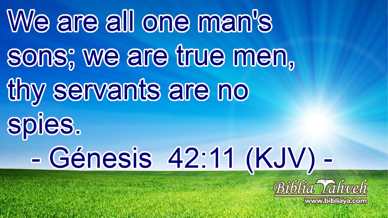 We are all one man's sons; we are true men, thy servants are no spies.