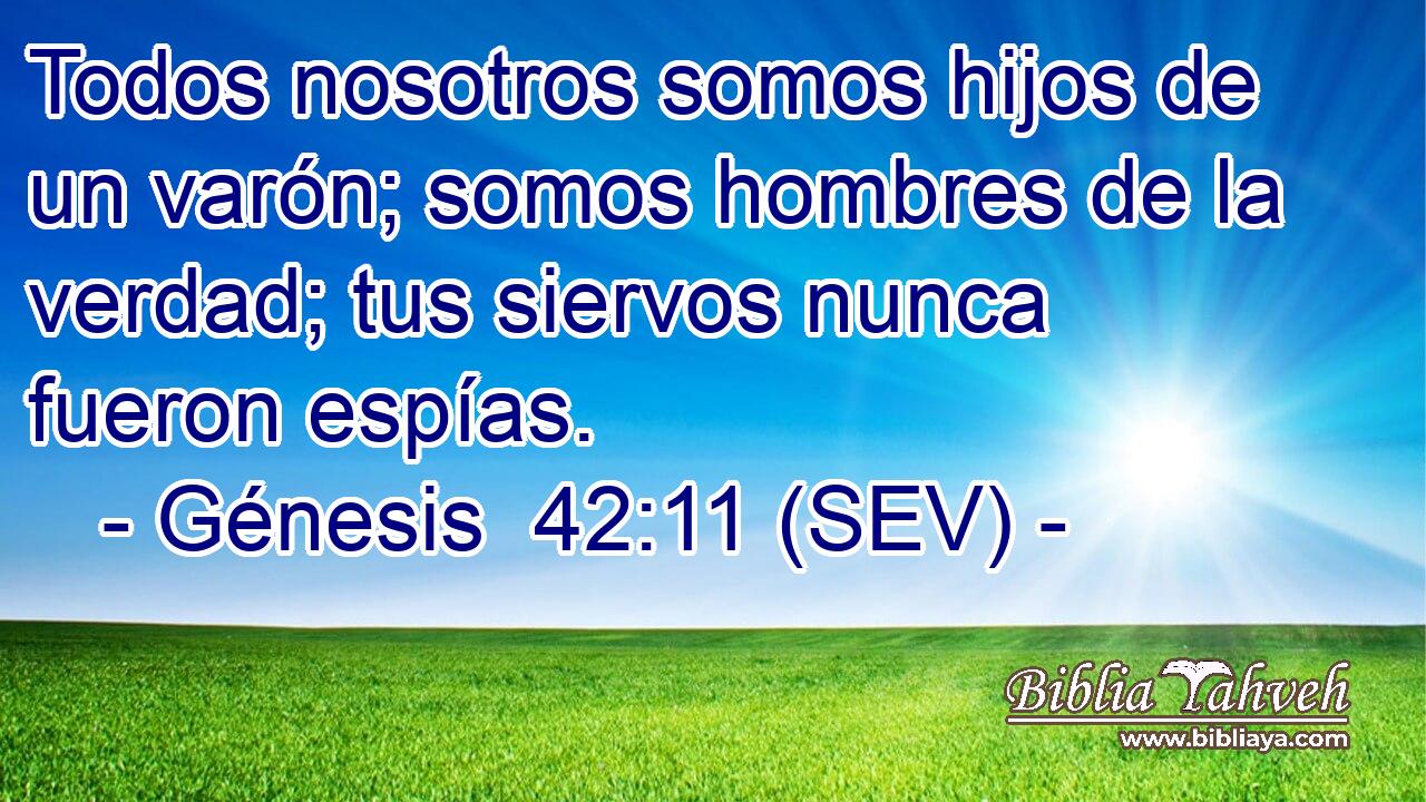Todos nosotros somos hijos de un varón; somos hombres de la verdad; tus siervos nunca fueron espías.