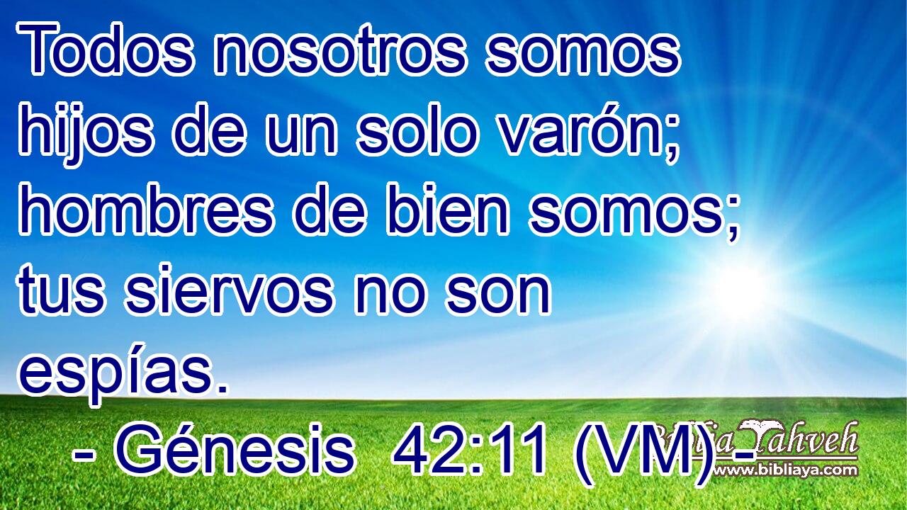  Todos nosotros somos hijos de un solo varón; hombres de bien somos; tus siervos no son espías. 
