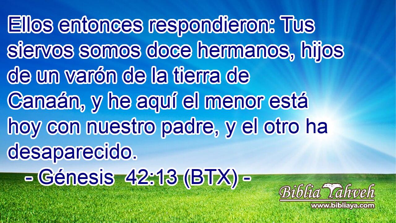 Ellos entonces respondieron: Tus siervos somos doce hermanos, hijos de un varón de la tierra de Canaán, y he aquí el menor está hoy con nuestro padre, y el otro ha desaparecido.