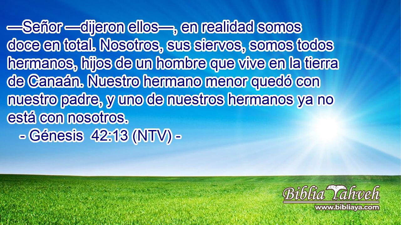 —Señor —dijeron ellos—, en realidad somos doce en total. Nosotros, sus siervos, somos todos hermanos, hijos de un hombre que vive en la tierra de Canaán. Nuestro hermano menor quedó con nuestro padre, y uno de nuestros hermanos ya no está con nosotros.