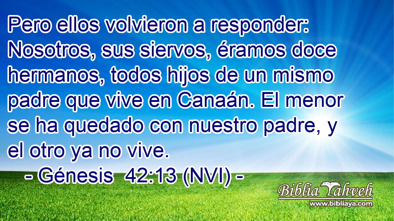  Pero ellos volvieron a responder: Nosotros, sus siervos, éramos doce hermanos, todos hijos de un mismo padre que vive en Canaán. El menor se ha quedado con nuestro padre, y el otro ya no vive. 